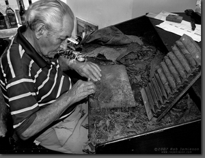 Cuban Cigar Rolling