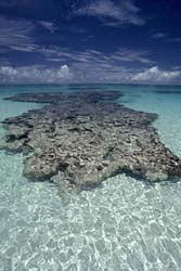 Barbuda