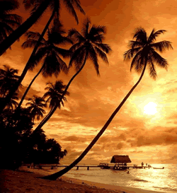 Tobago