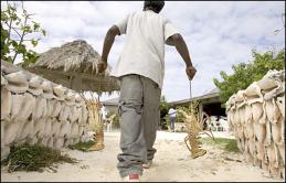 Anguilla Lobster