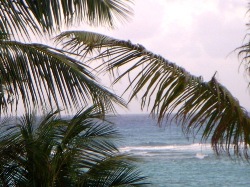 view from resort in antigua