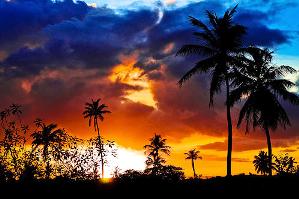 tobago