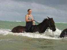 Horseback Riding Jamaica