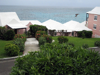 Pink Beach Club