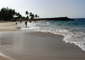 ocean-park