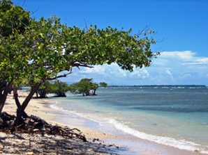 playa-de-ponce