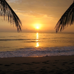 rincon-area