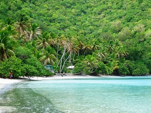 stjohn